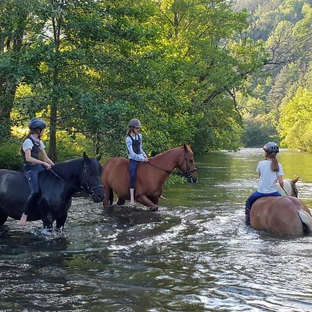 Muehle In Der Pferdewelt Reichenau Apartman Kültér fotó