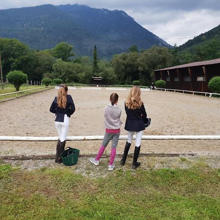 Muehle In Der Pferdewelt Reichenau Apartman Kültér fotó