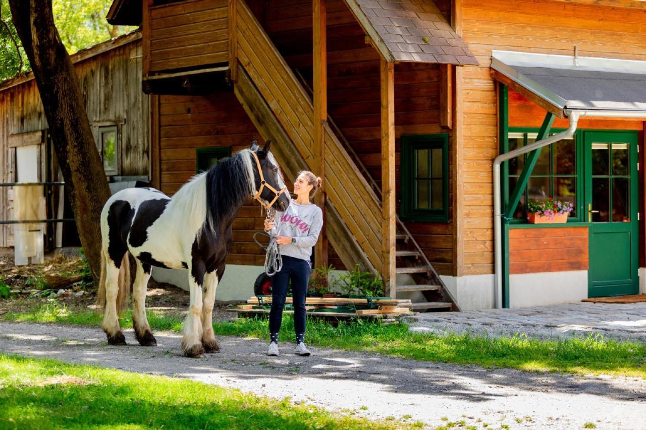 Muehle In Der Pferdewelt Reichenau Apartman Kültér fotó