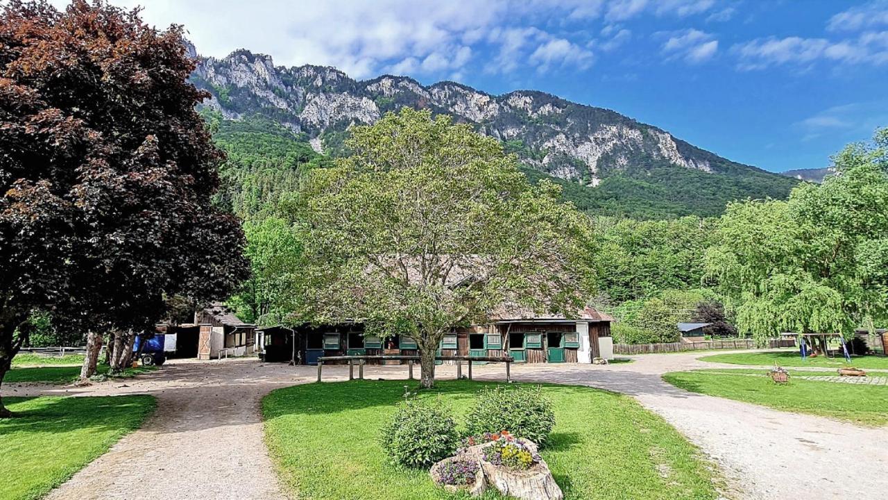 Muehle In Der Pferdewelt Reichenau Apartman Kültér fotó