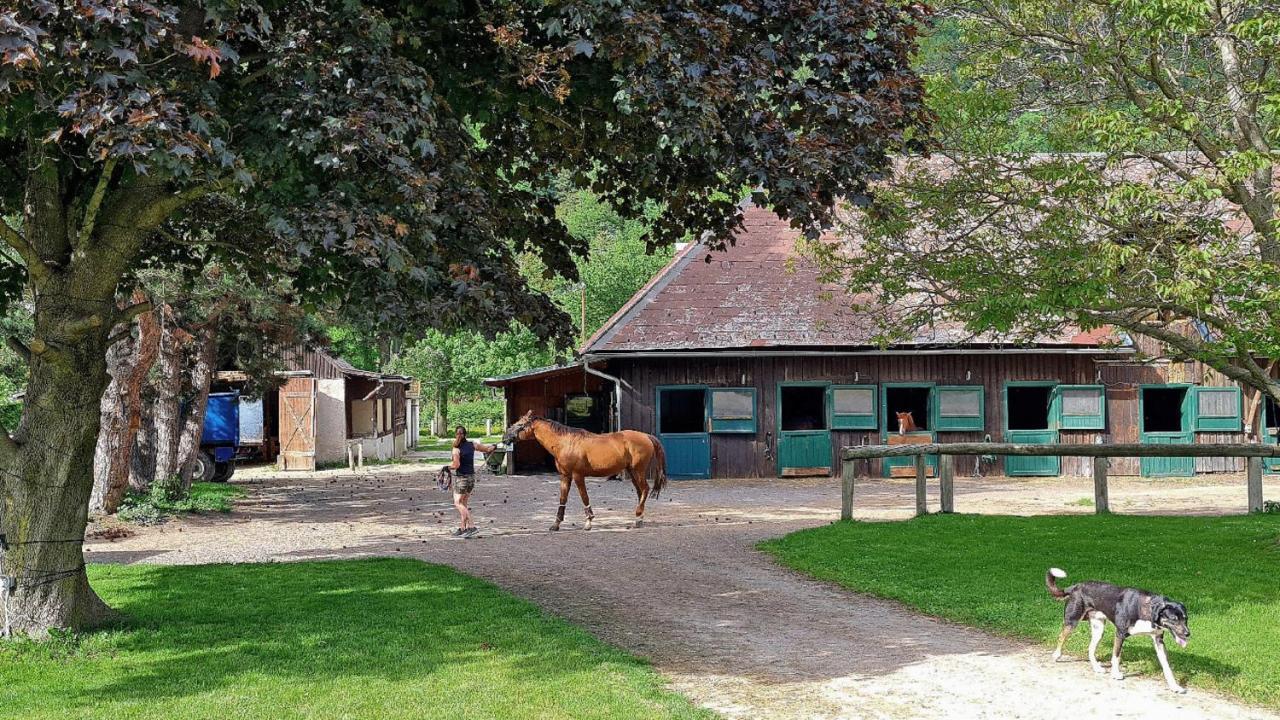 Muehle In Der Pferdewelt Reichenau Apartman Kültér fotó