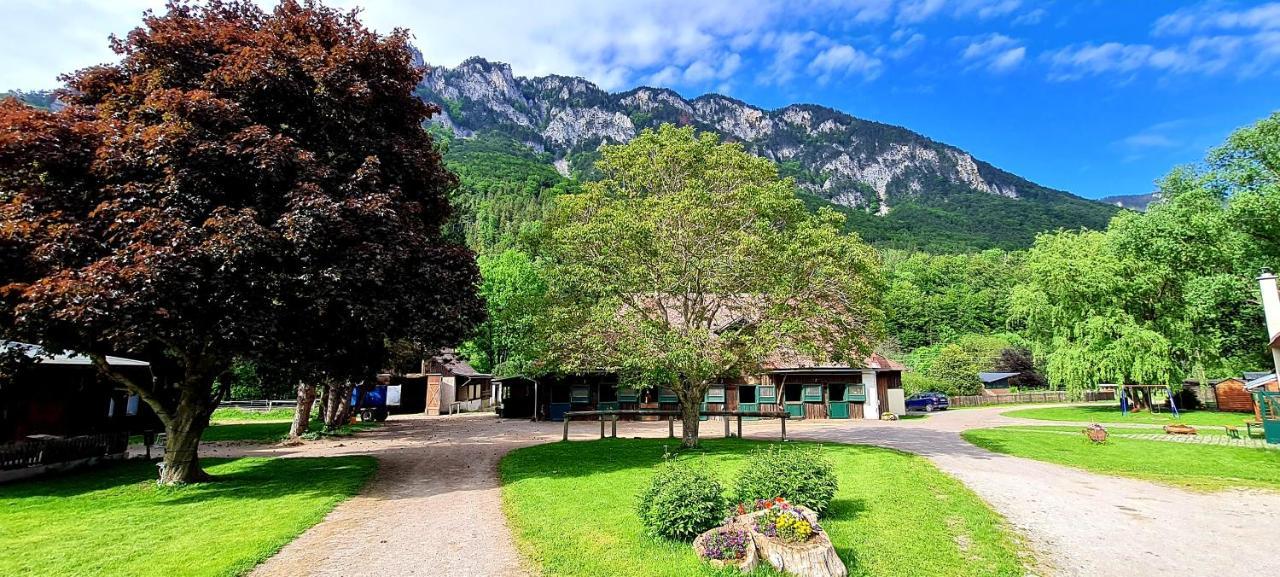 Muehle In Der Pferdewelt Reichenau Apartman Kültér fotó